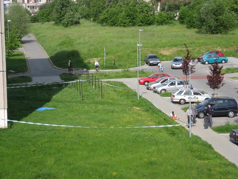 Obrázek
