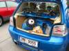 img_6324_small.jpg